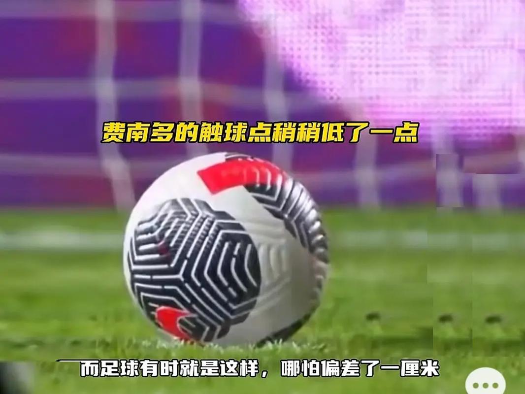 他未来的猜