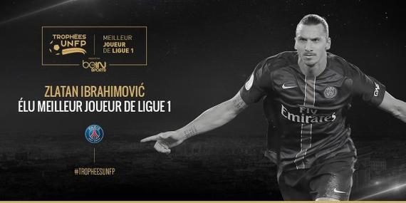 性的贡献 性的贡献